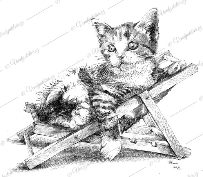 Odpočívající kotě - kresba
