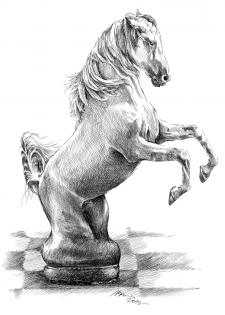Šachová figurka - kůň, šachy, perokresba