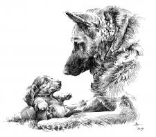 Pes a štěně
