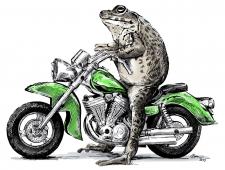 Žába na motorce