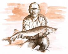 Radek rybář - kresba